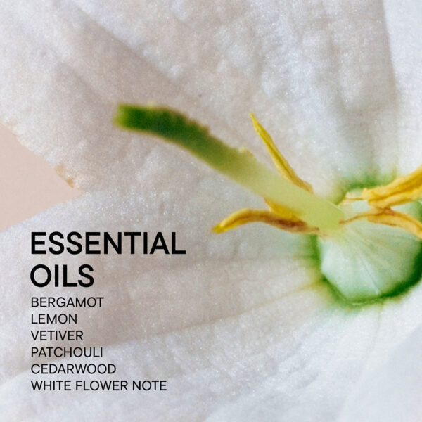 Babor Soul & Room Fragrance Grounding - Image 6
